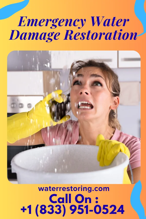 Emergency Water Damage Restoration in Matlacha, FL