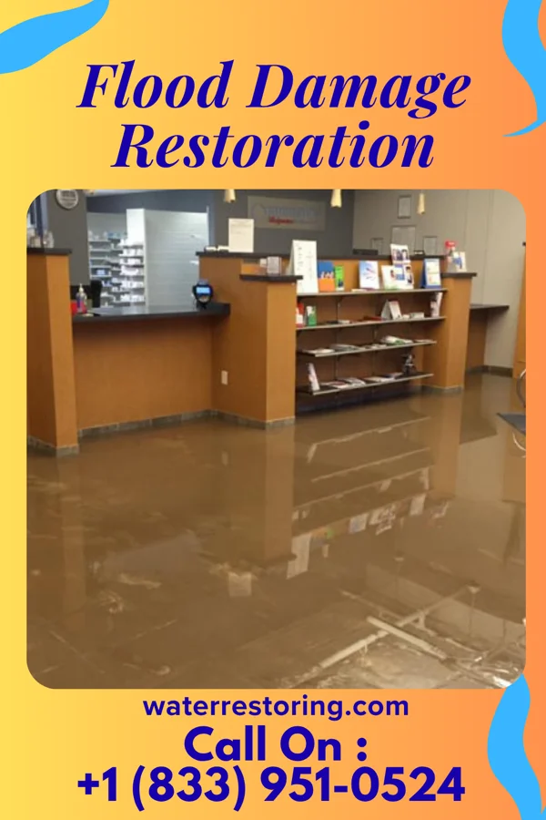 Flood Damage Restoration in Matlacha, FL